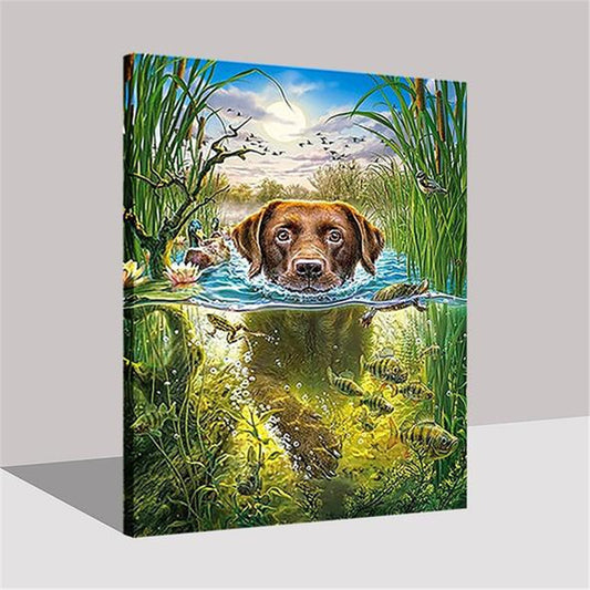 Paint By Numbers Diy Craft Kit Swimming Dog Canvas Wall Art